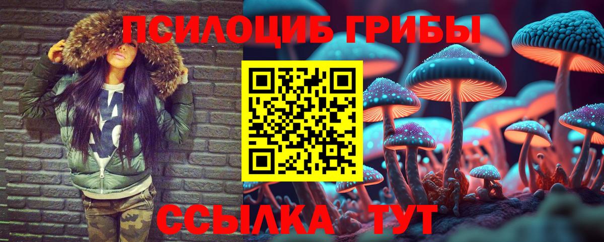 где найти наркотики  Вход с VPN  Ейск  Галлюциногенные грибы Psilocybine cubensis 